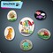 20 Pieces Large Painting Rocks, Natural River Rocks, Flat Rocks for Painting, 2-3 Inches Stones for Arts & Crafting